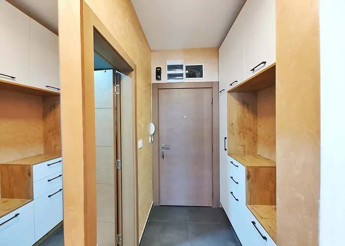 Vis29 * 즐라티보