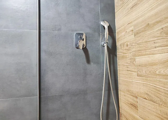 Vis29 * 즐라티보